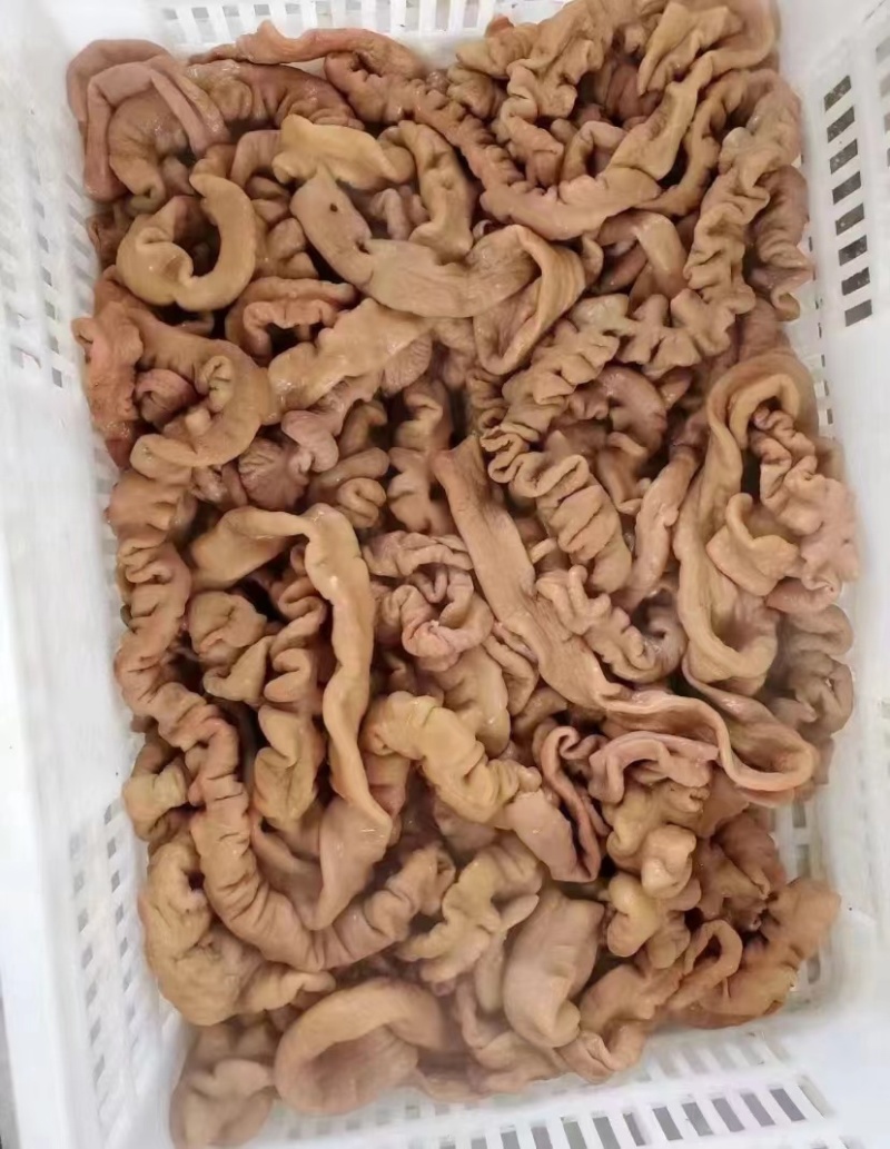 卤肥肠秘制肥肠去油全熟卤肥肠真空袋装肥肠工厂批发