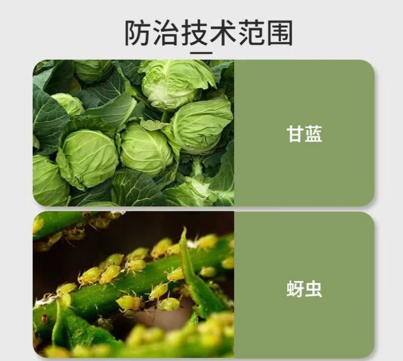 20%噻虫高氯氟噻虫嗪高氯氟氰菊酯蚜虫菜青虫杀虫剂农药