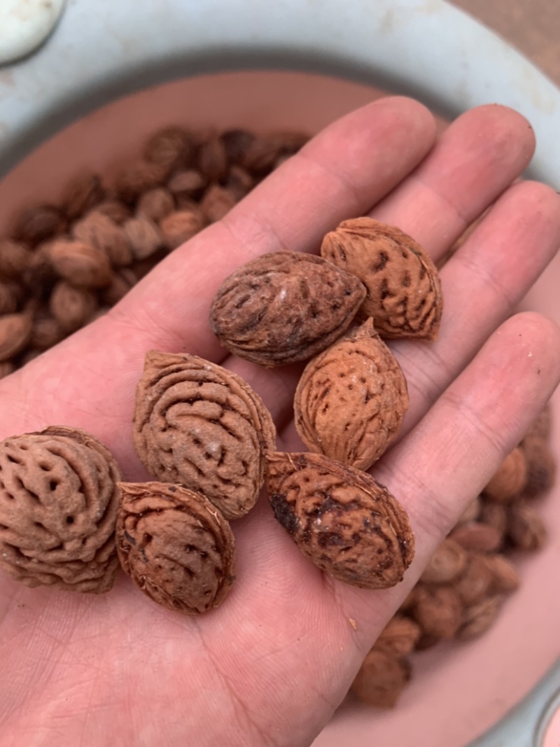 毛桃胡190粒，产地自产