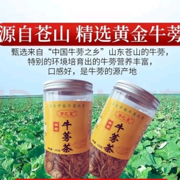蒡之星牛蒡茶，黄金牛蒡茶养生茶，大量供应，欢迎选购