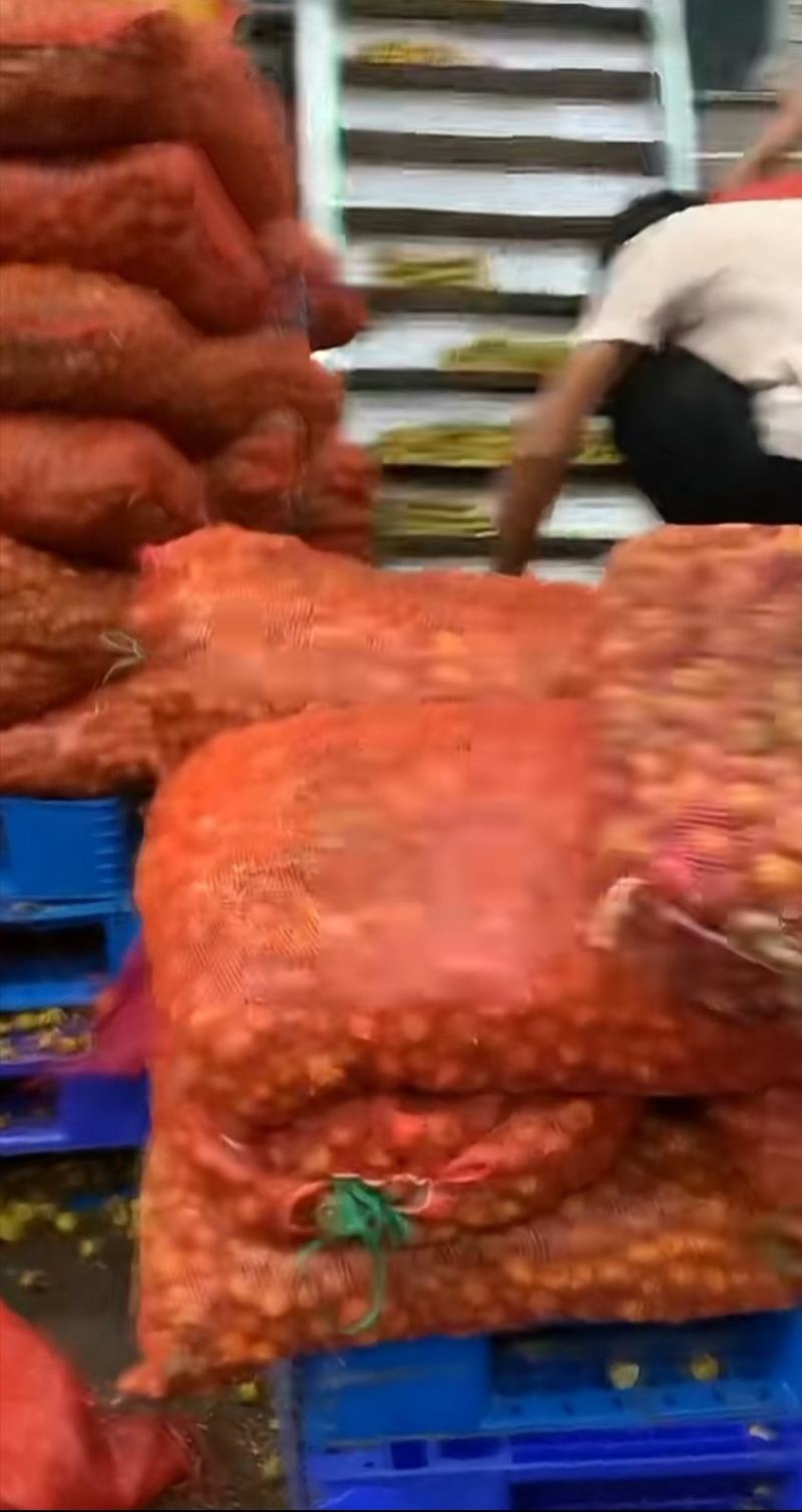 刺梨，