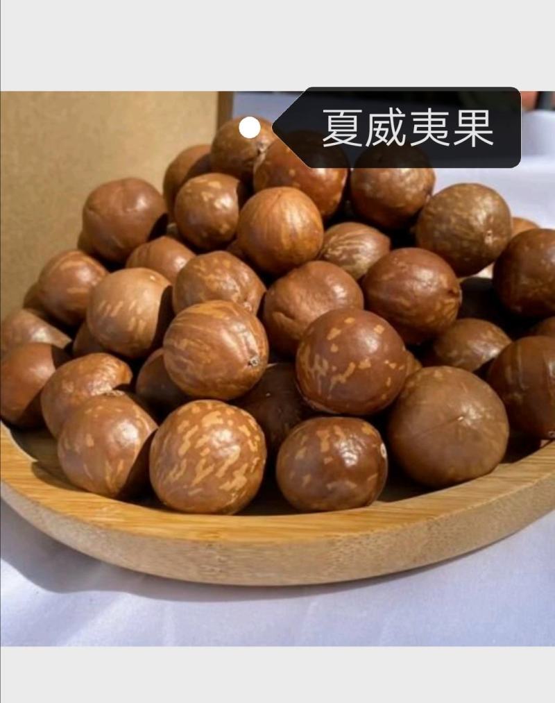 广西玉林夏威夷果坚果预订批发