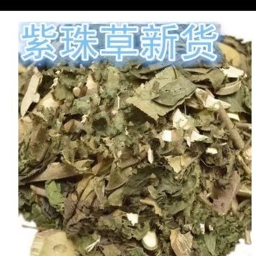 紫珠
