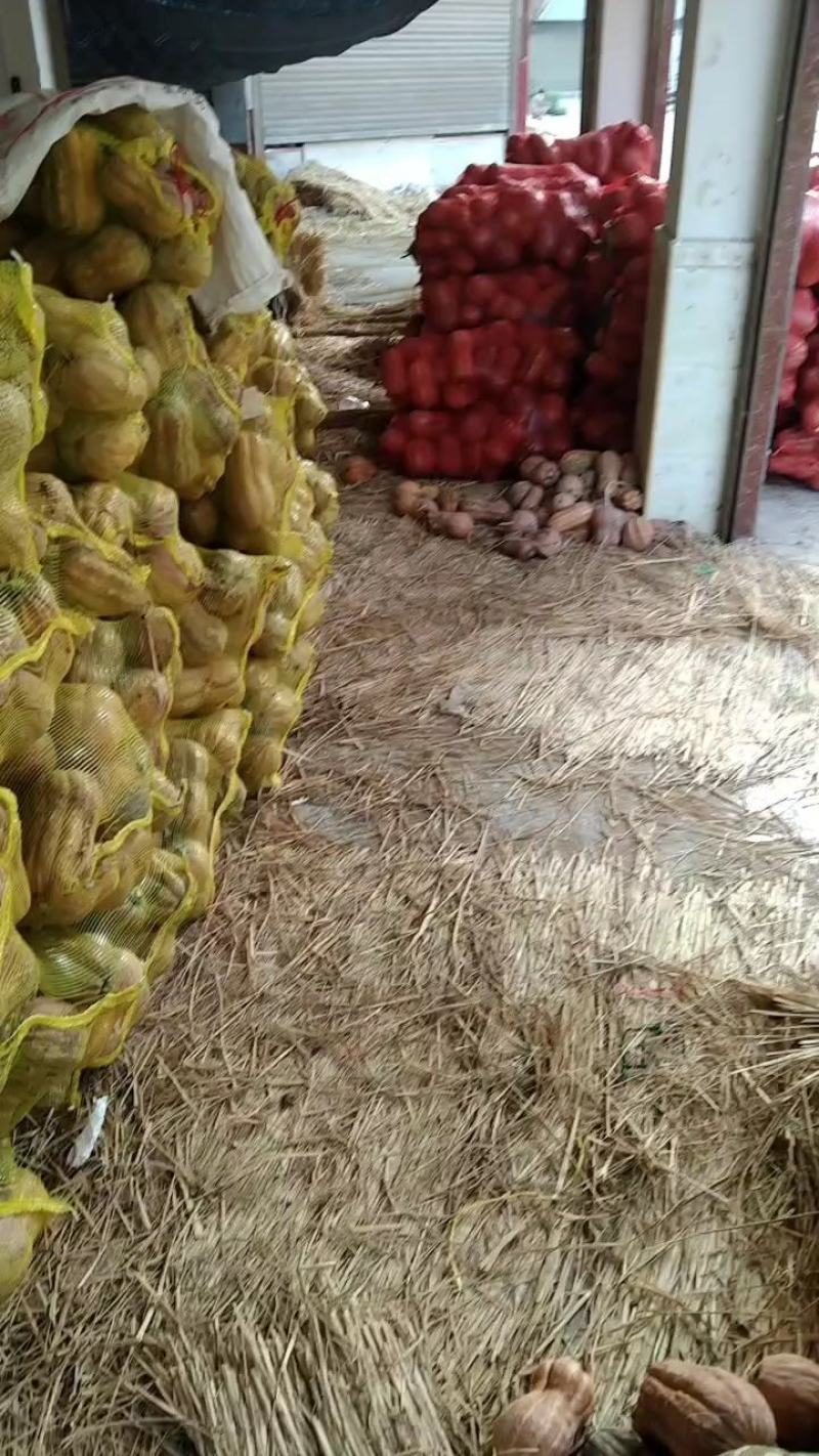 新野县花生南瓜