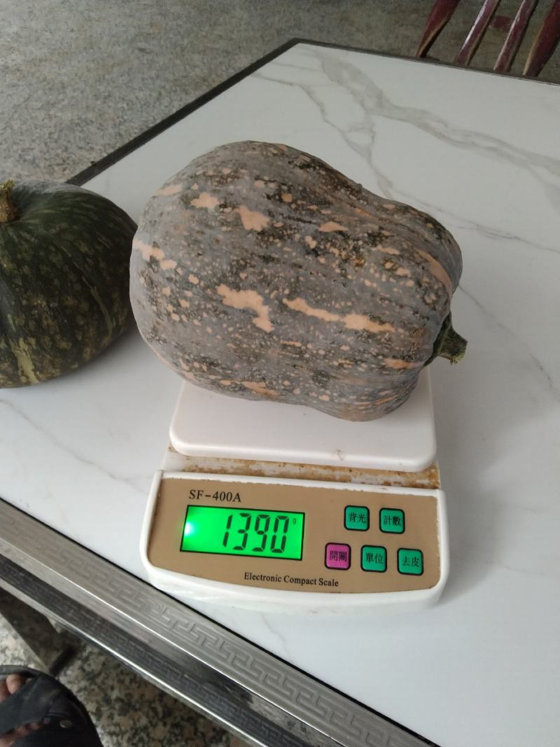 新野县花生南瓜