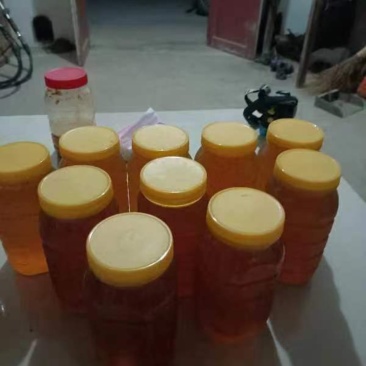 采自安福南边山脉几百万亩高山的百花土蜂蜜可对接电商批发商