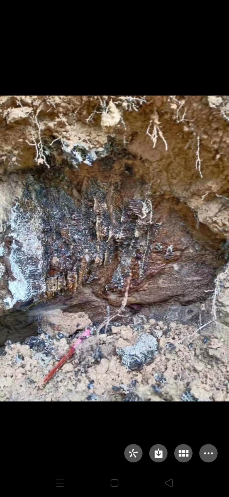 采自安福南边山脉几百万亩高山的百花土蜂蜜可对接电商批发商