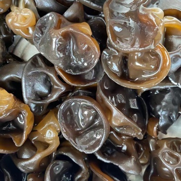 长白山东北头茬秋木耳新货