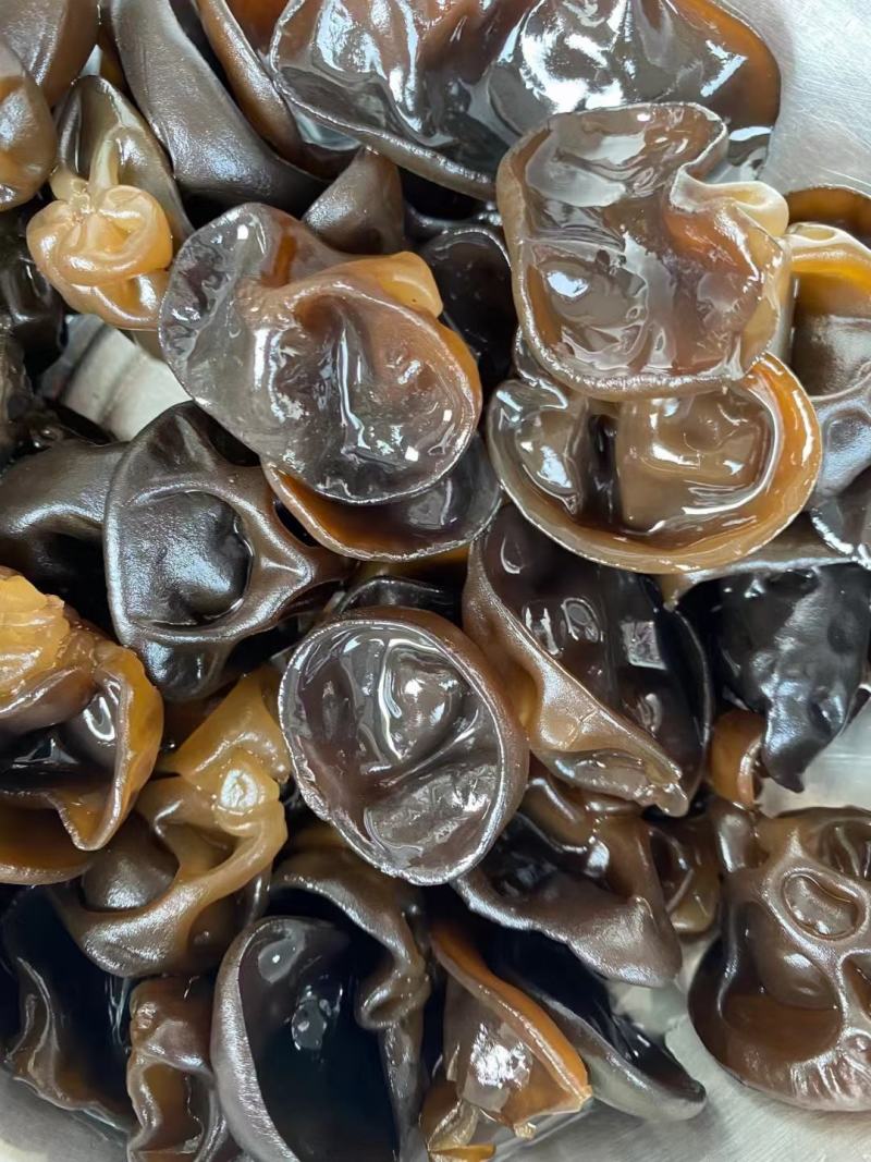 长白山东北头茬秋木耳新货