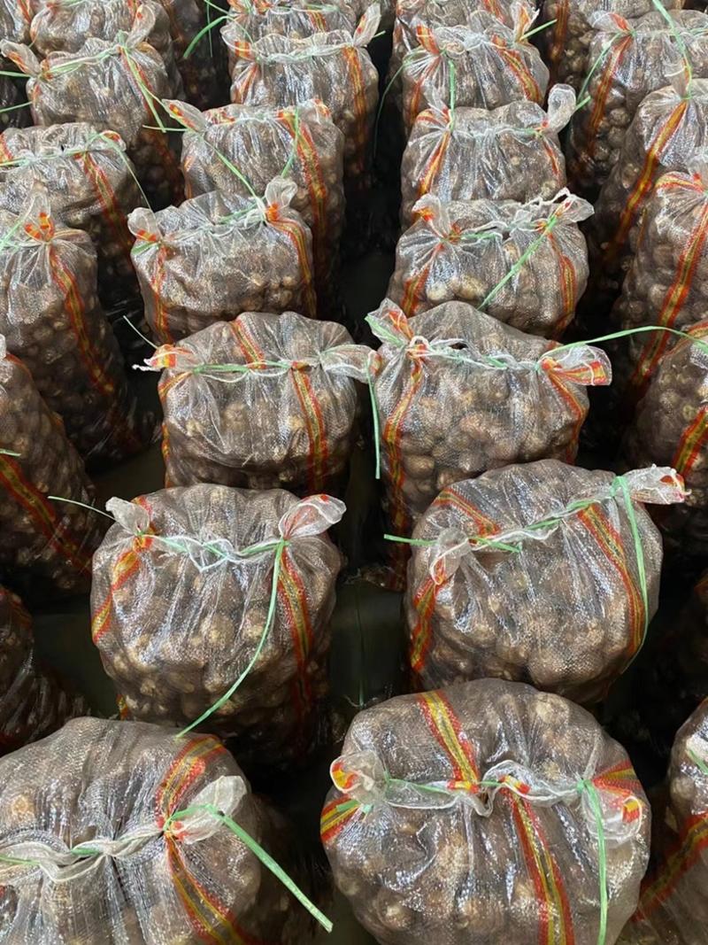 山东优质芋头品种齐全对接电商、市场、加工等