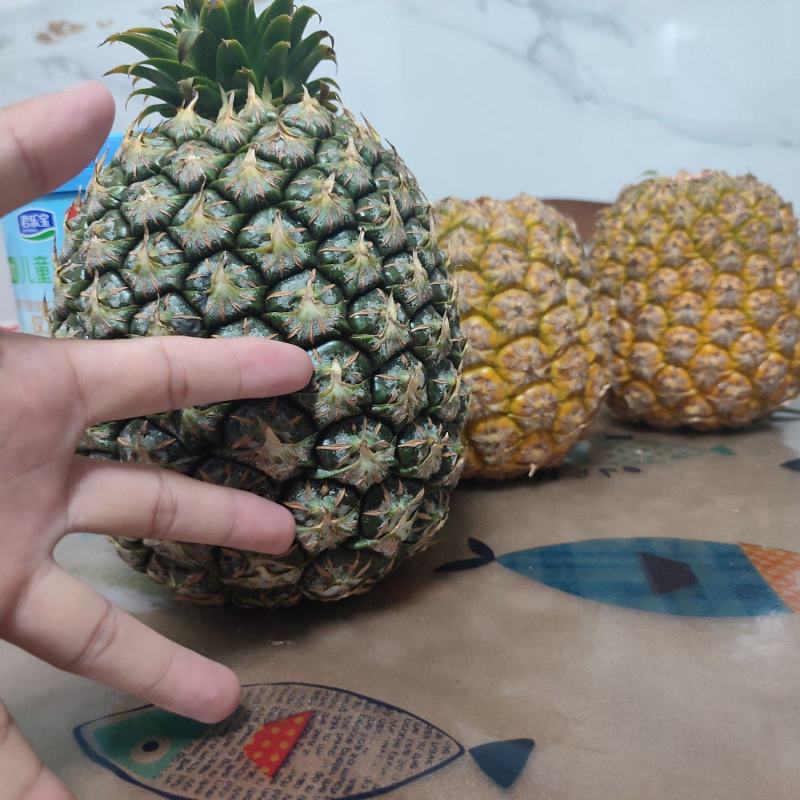 西瓜凤梨