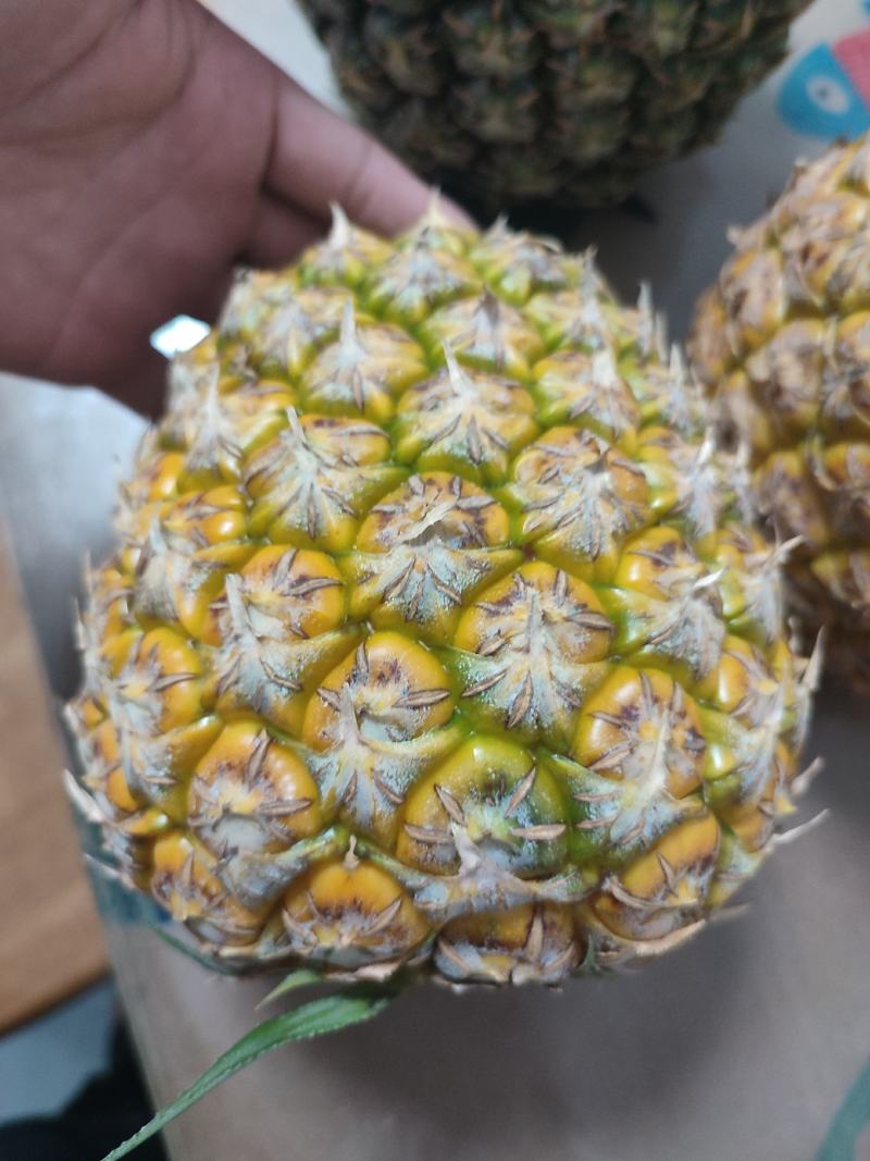西瓜凤梨