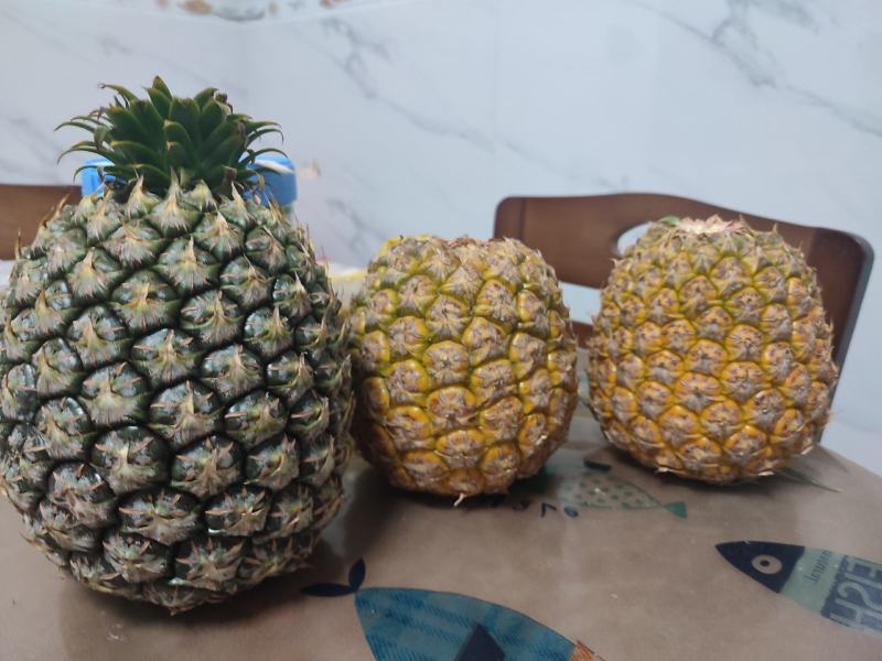西瓜凤梨