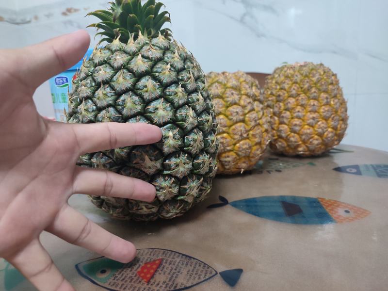 西瓜凤梨