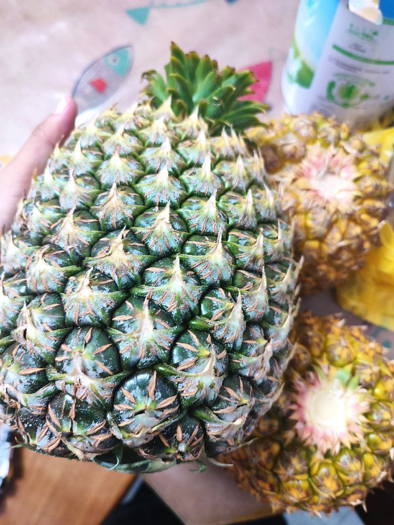 西瓜凤梨