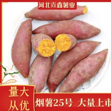 【雄县烟薯25号】红心蜜薯地瓜红皮红心软糯香甜