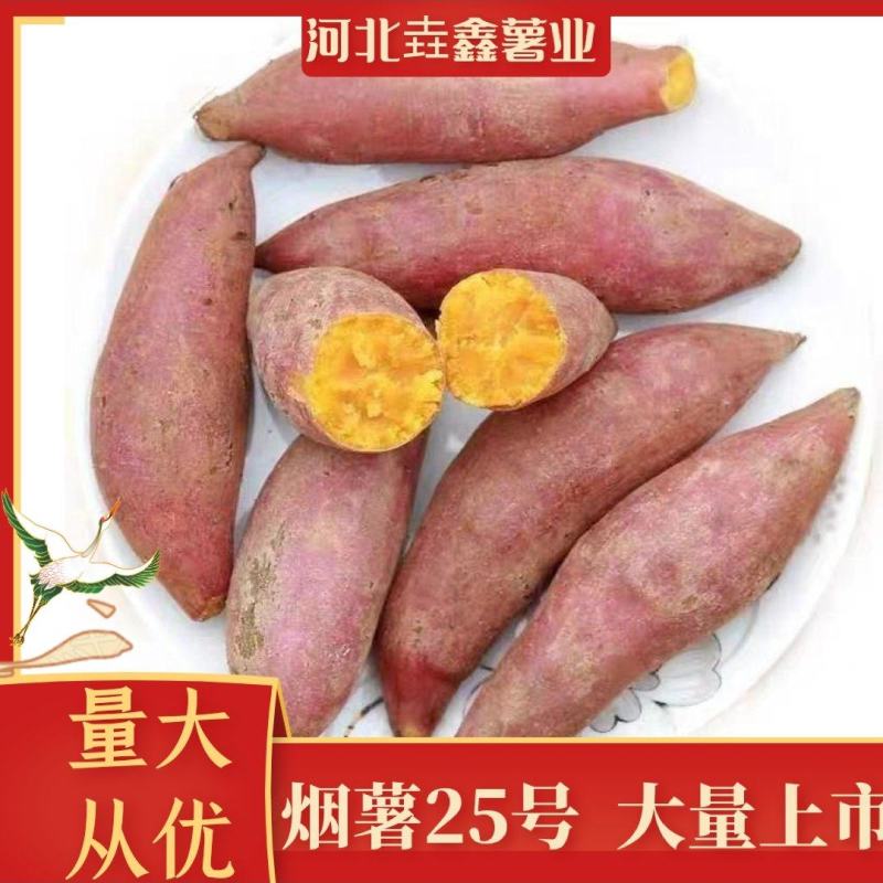 【雄县烟薯25号】红心蜜薯地瓜红皮红心软糯香甜