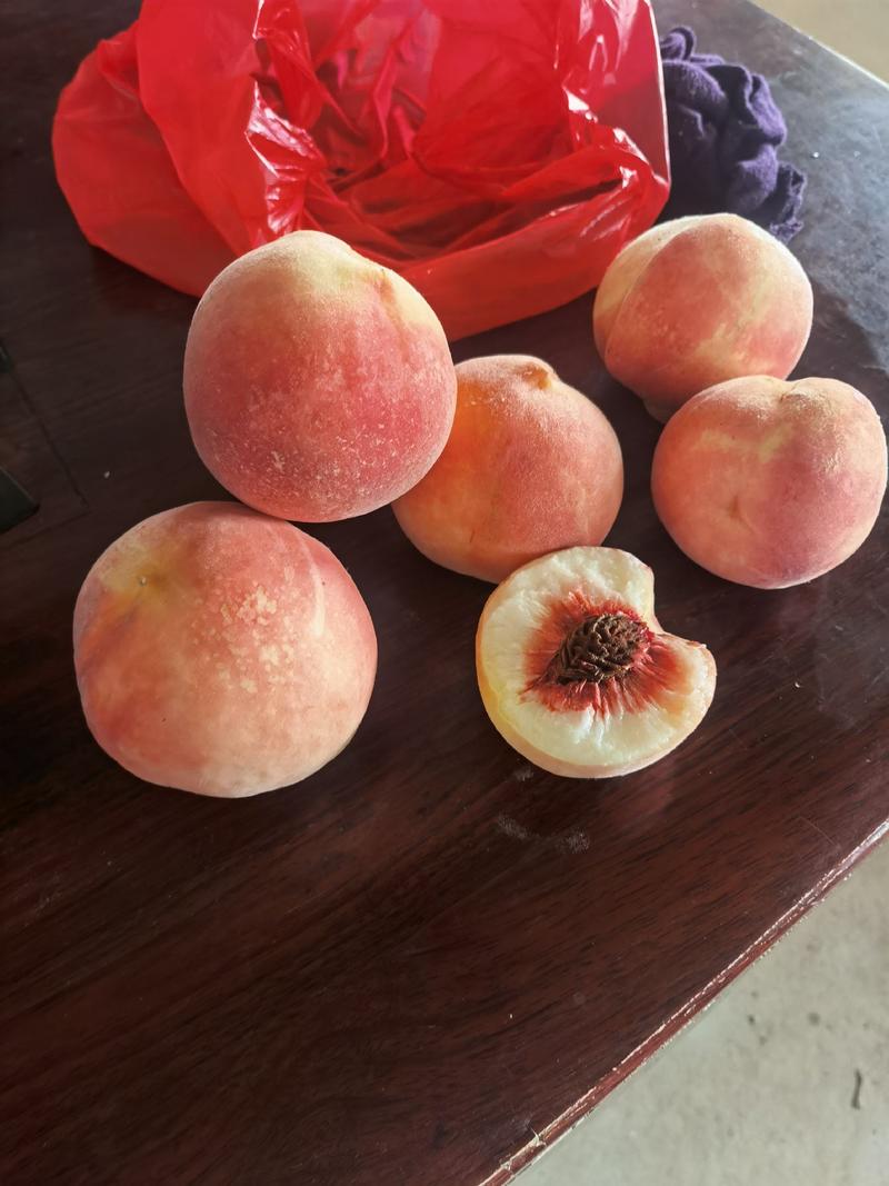 肥乡区鲜桃上市，品种：秋锦，口感脆甜，果肉细腻，果色好