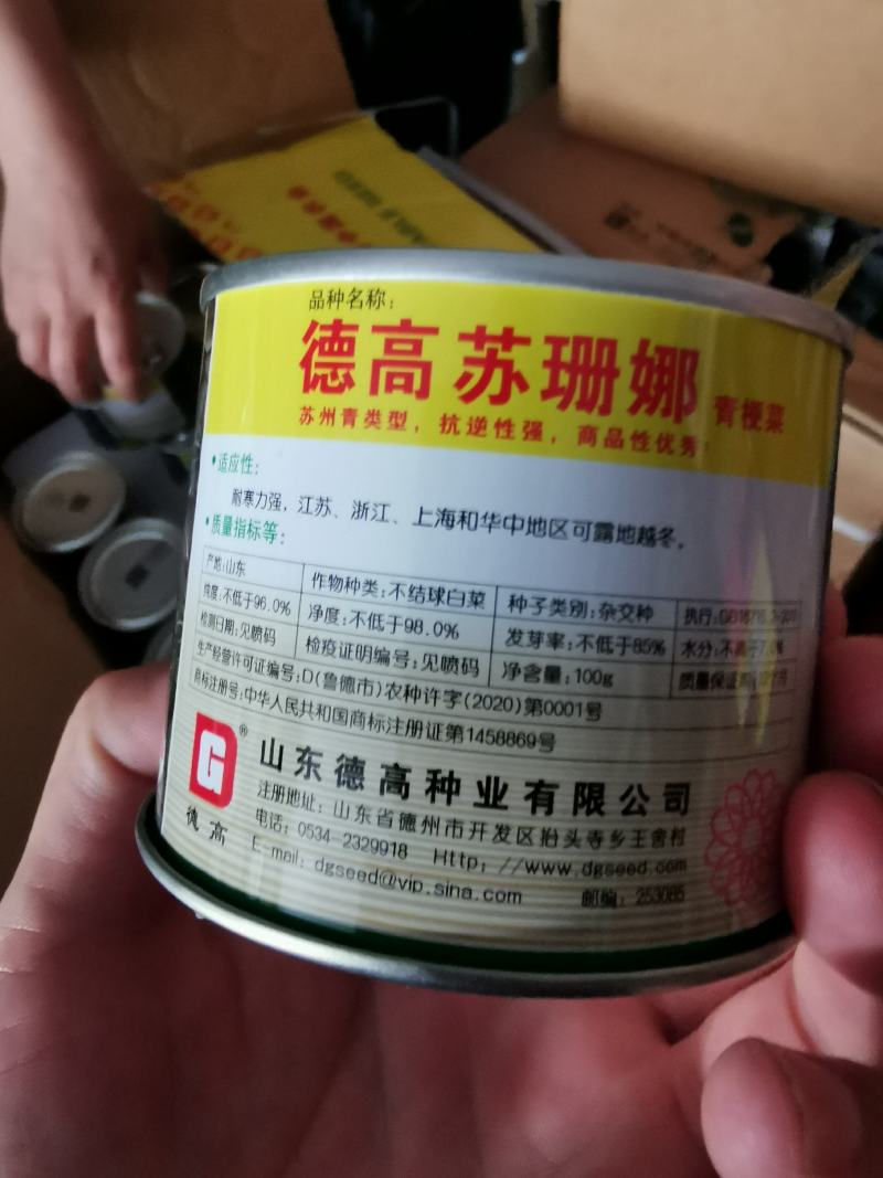 德高苏珊娜黑叶矮脚苏州青种子耐寒油亮黑菜种子100克原装
