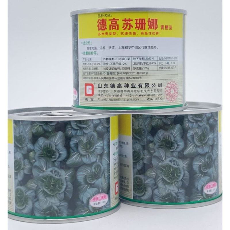 德高苏珊娜黑叶矮脚苏州青种子耐寒油亮黑菜种子100克原装