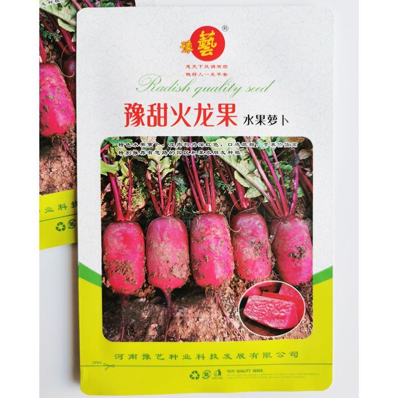 豫甜火龙果水果萝卜种子高产脆甜红皮红肉水果萝卜种原装发货