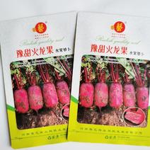 豫甜火龙果水果萝卜种子高产脆甜红皮红肉水果萝卜种原装发货