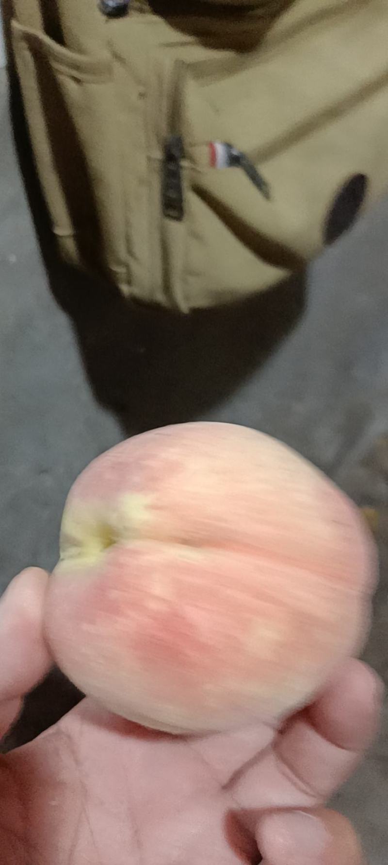 永莲一号水蜜桃，有大型冷库，可以储存，，连续发车，