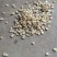 棒棒草种子耐寒水草冬季水稗草菵米优良饲料食用养鱼养虾菵草