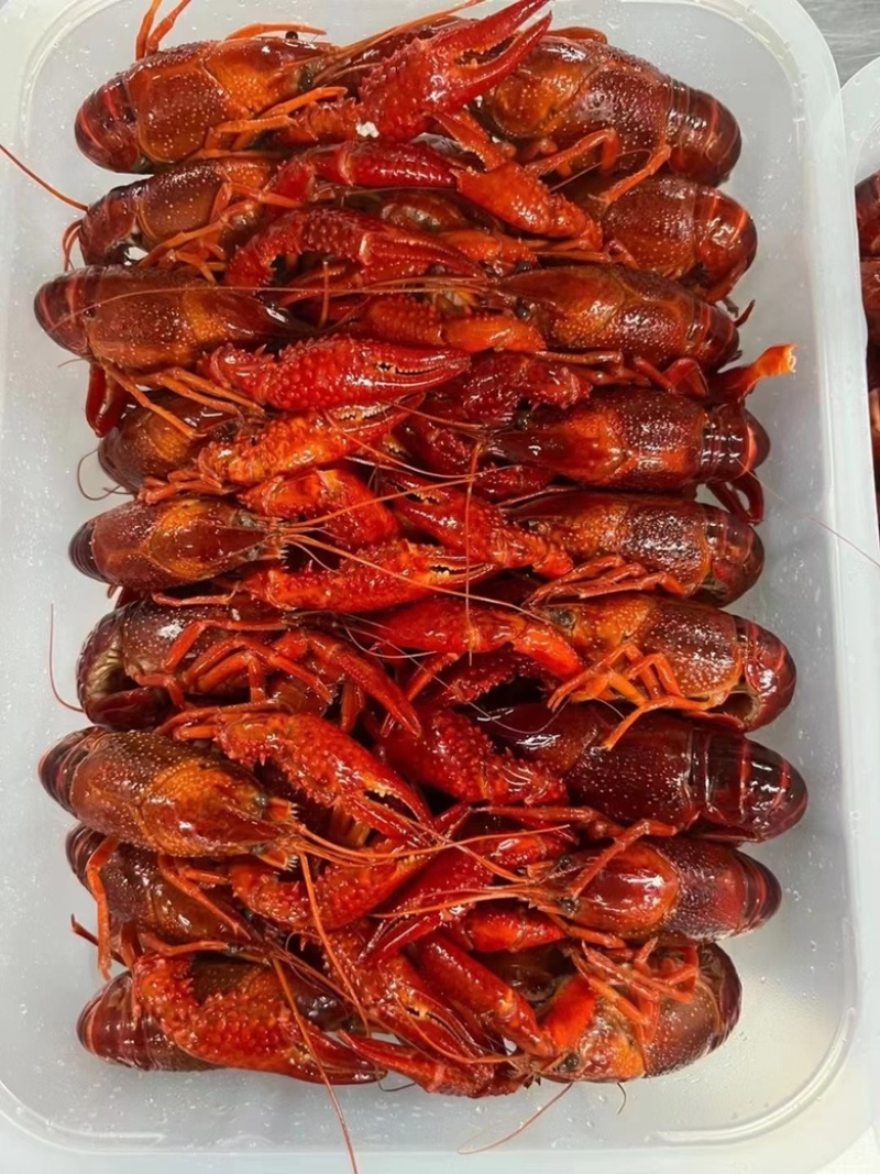 精选优质小龙虾，肉质Q弹，鲜活加工，