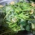 自家红薯梗新鲜干货大量上市过期不候需要联系