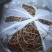 自家红薯梗新鲜干货大量上市过期不候需要联系