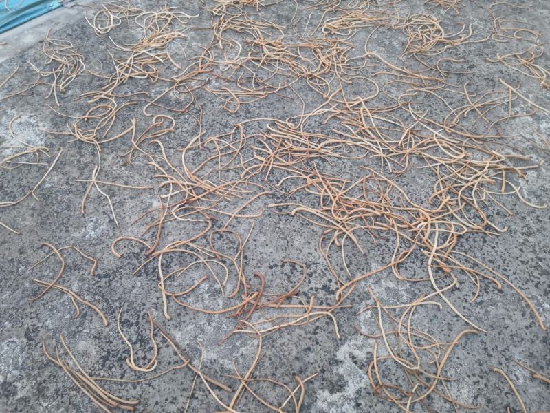 自家红薯梗新鲜干货大量上市过期不候需要联系