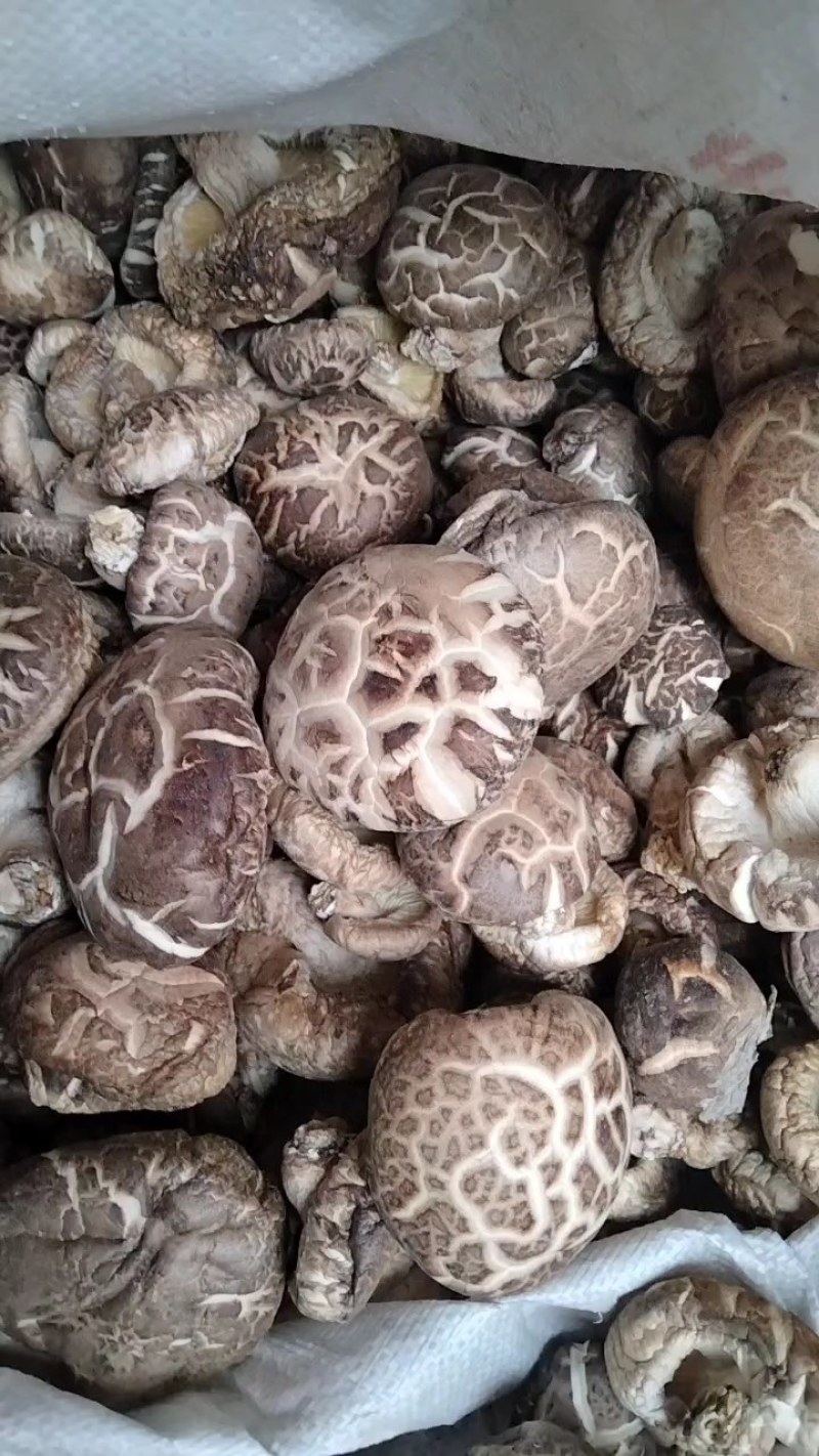 花菇产地直发，一手货源，自产自销，量大从优，欢迎联系