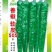 善椒软皮505软皮辣椒种子，1000粒