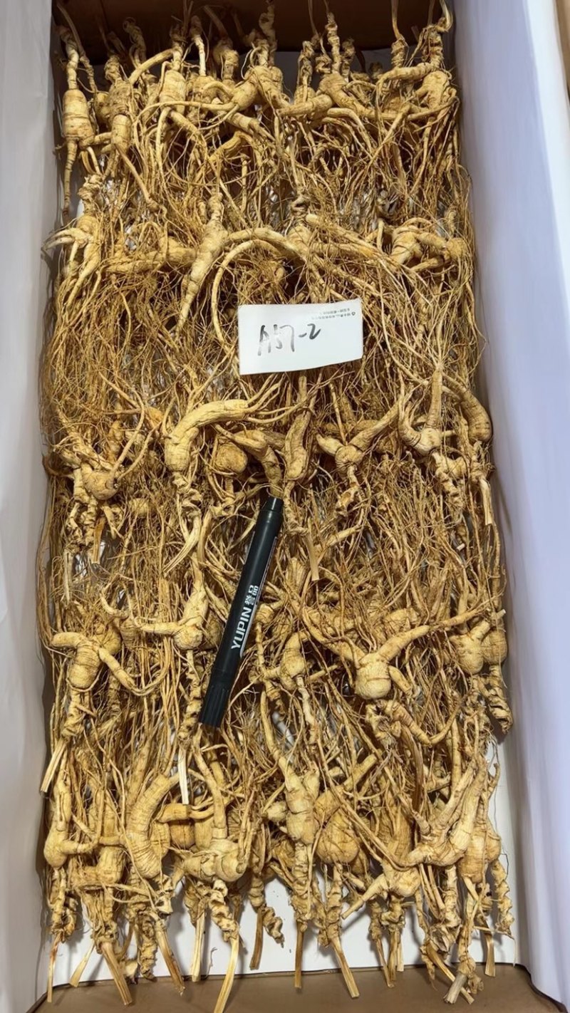 批发高年份林下参吃货打粉料，特别适合自家食用，经济实惠