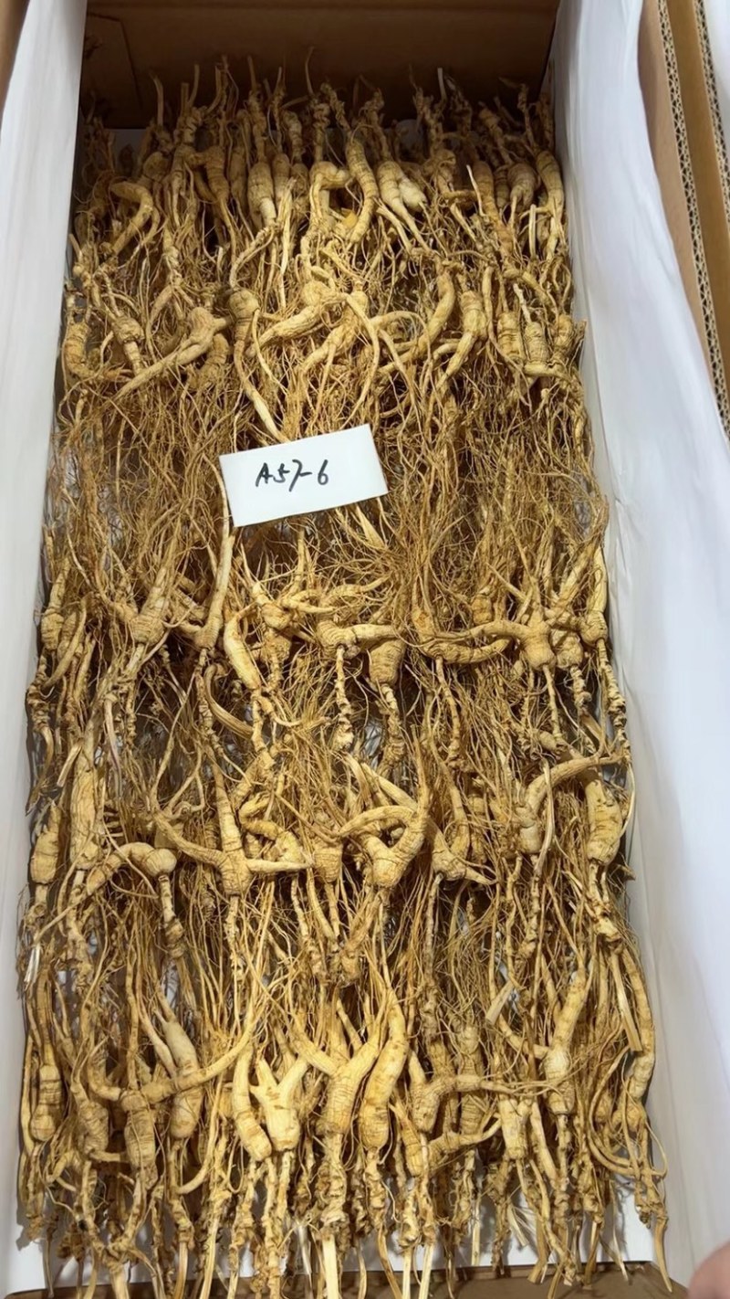 批发高年份林下参吃货打粉料，特别适合自家食用，经济实惠