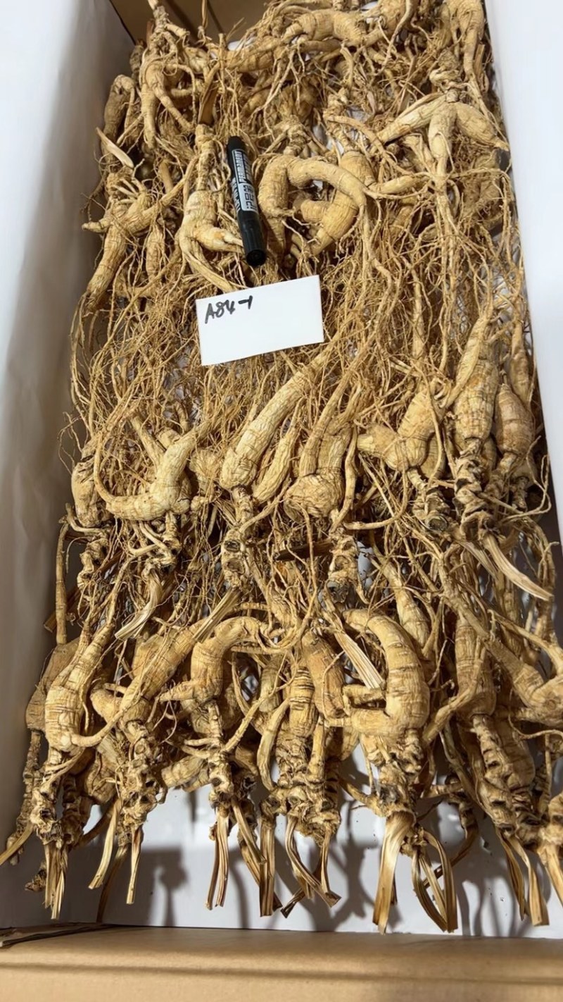 批发高年份林下参吃货打粉料，特别适合自家食用，经济实惠