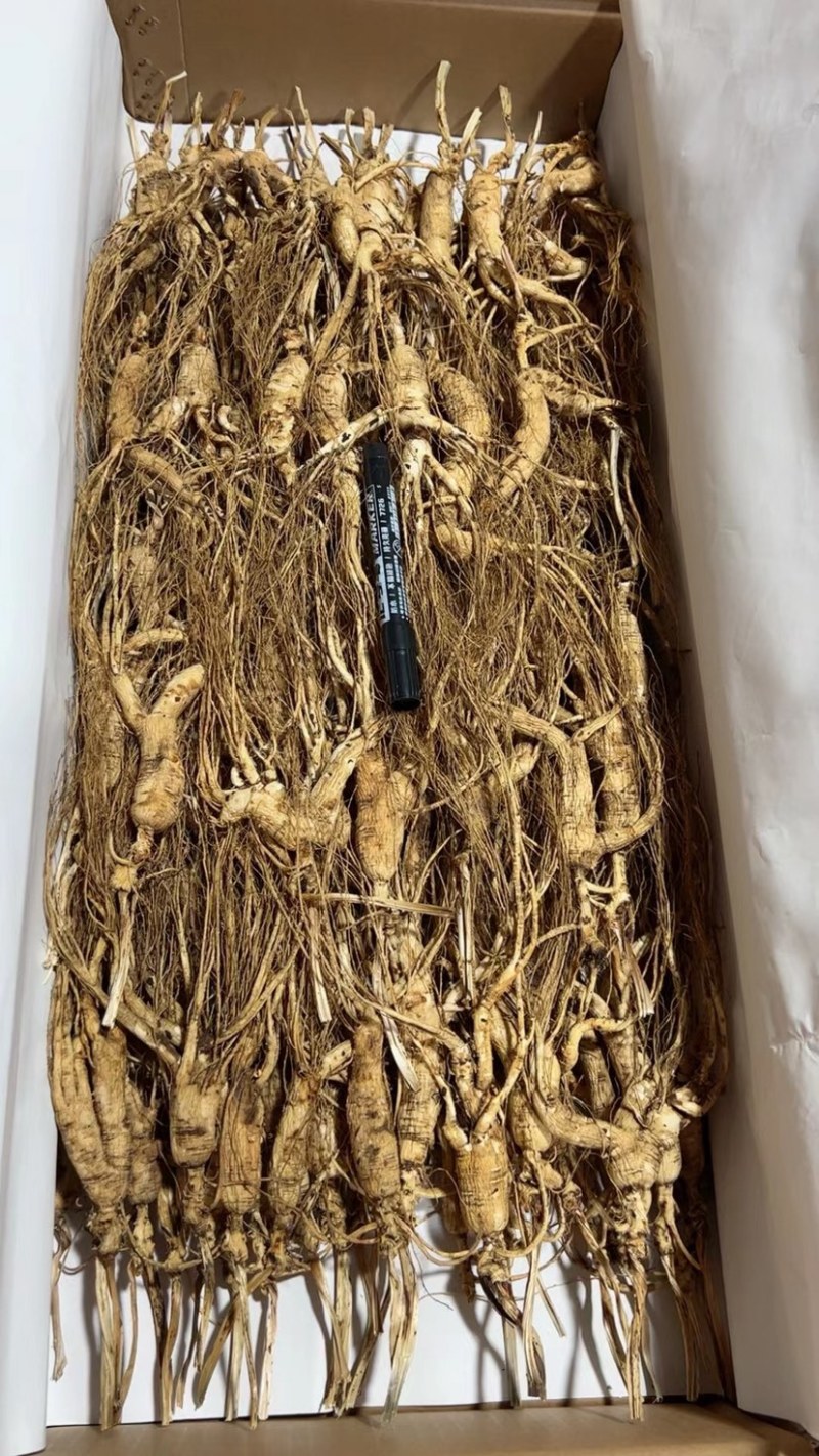 批发高年份林下参吃货打粉料，特别适合自家食用，经济实惠