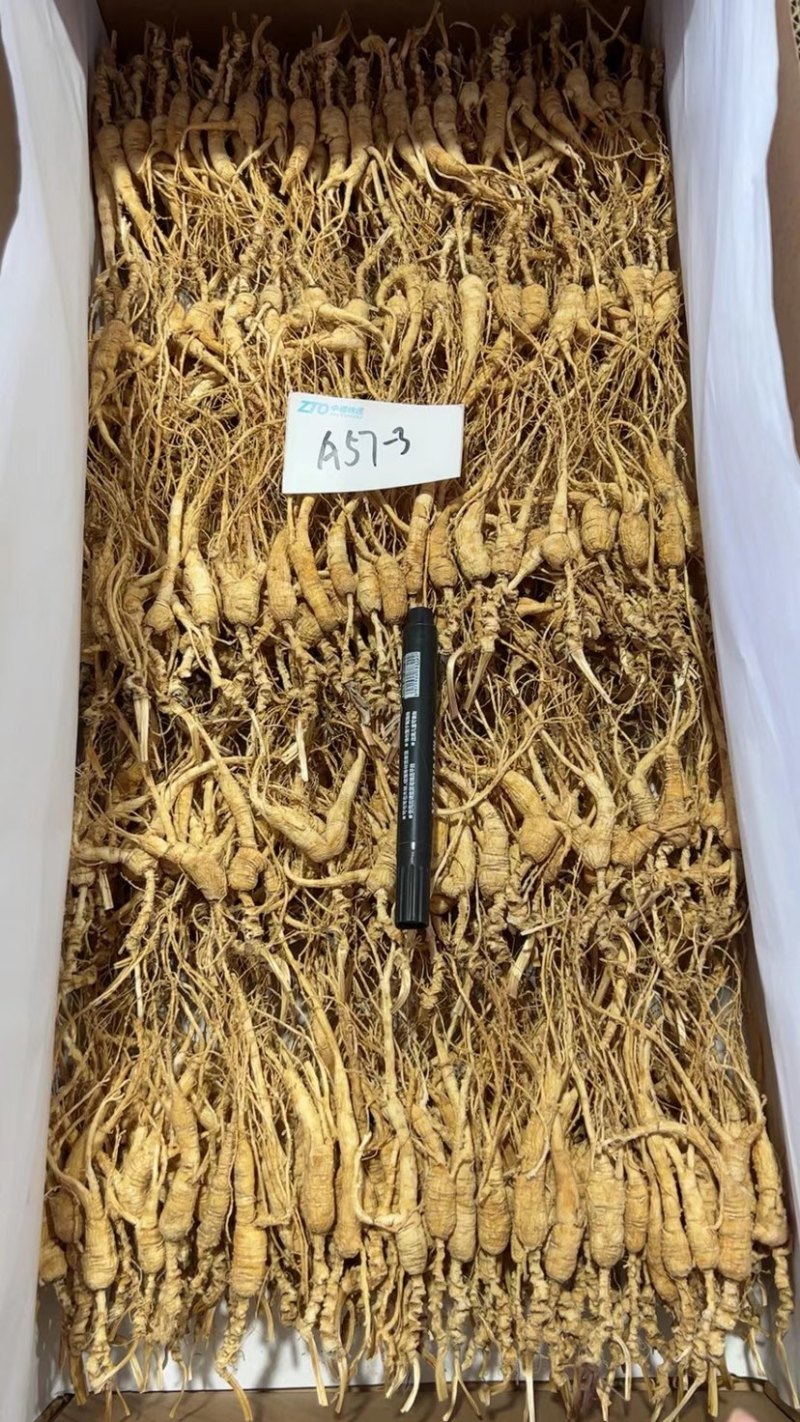 批发高年份林下参吃货打粉料，特别适合自家食用，经济实惠