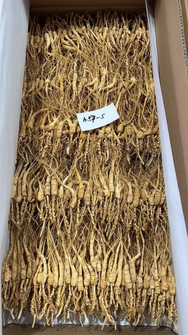 批发高年份林下参吃货打粉料，特别适合自家食用，经济实惠