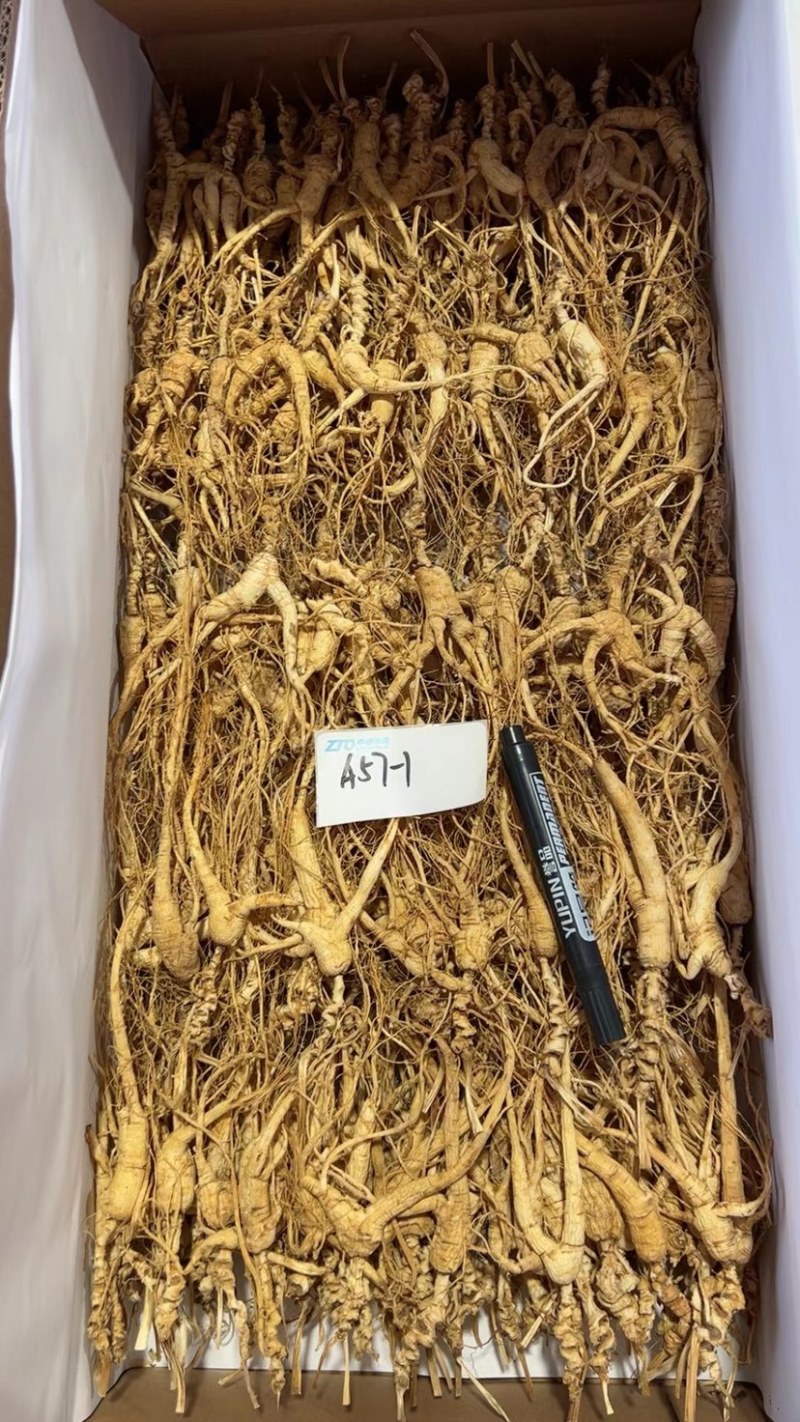 批发高年份林下参吃货打粉料，特别适合自家食用，经济实惠