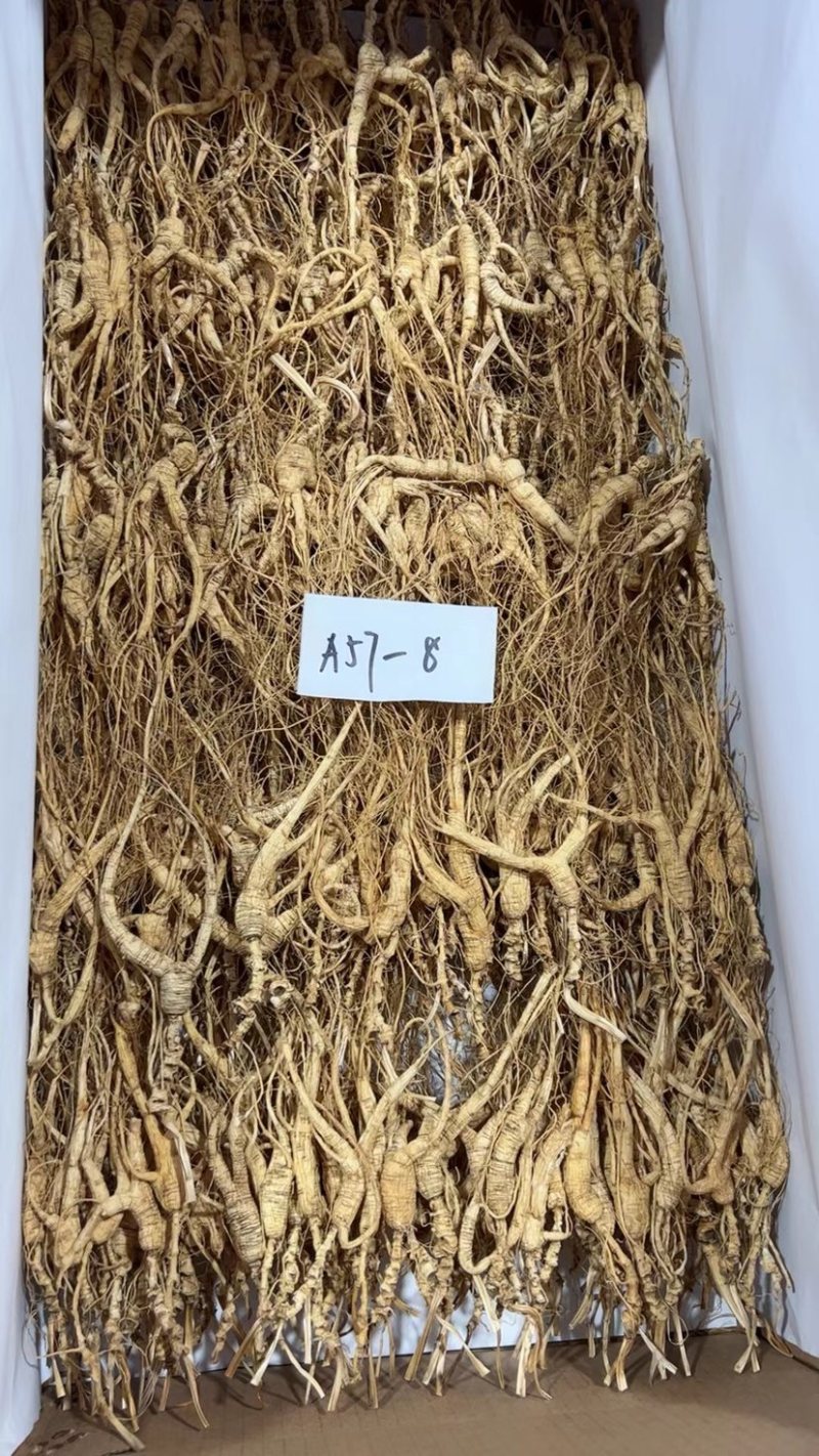 批发高年份林下参吃货打粉料，特别适合自家食用，经济实惠