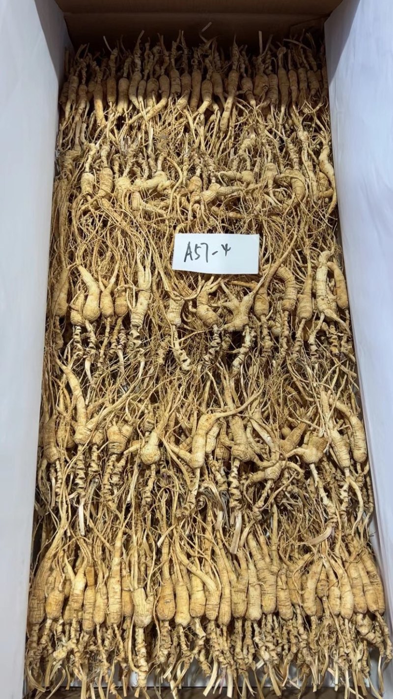 批发高年份林下参吃货打粉料，特别适合自家食用，经济实惠