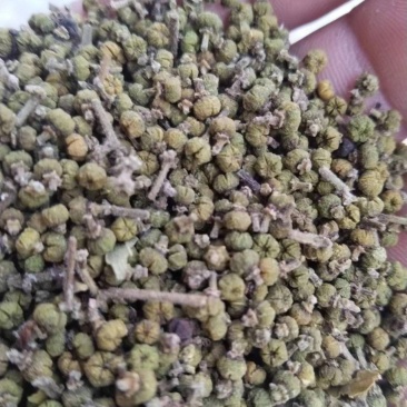 江西正宗中花吴茱萸无硫色泽青亮无杂质吴茱萸籽