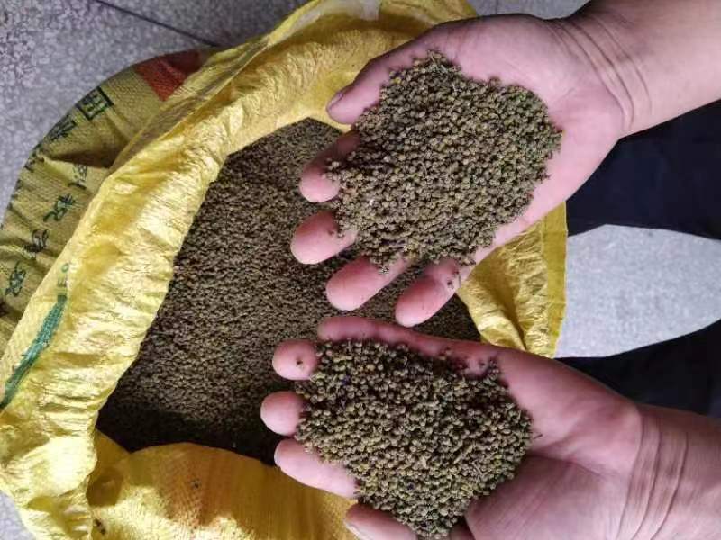 江西正宗中花吴茱萸无硫色泽青亮无杂质吴茱萸籽