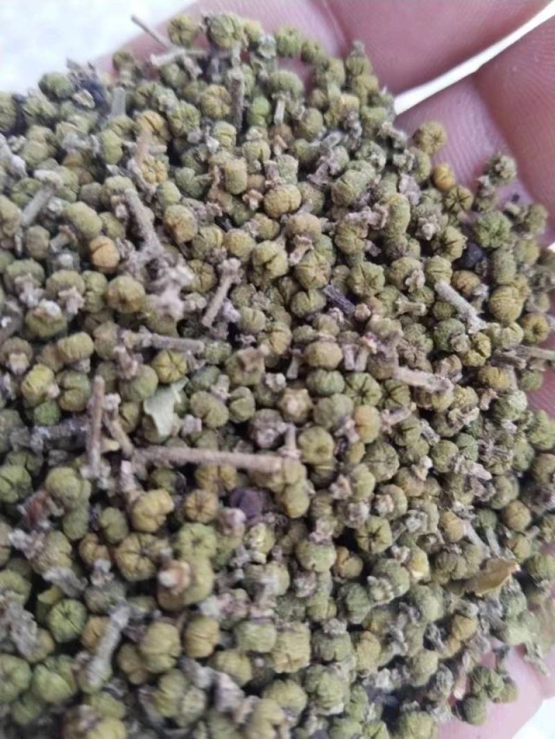 江西正宗中花吴茱萸无硫色泽青亮无杂质吴茱萸籽