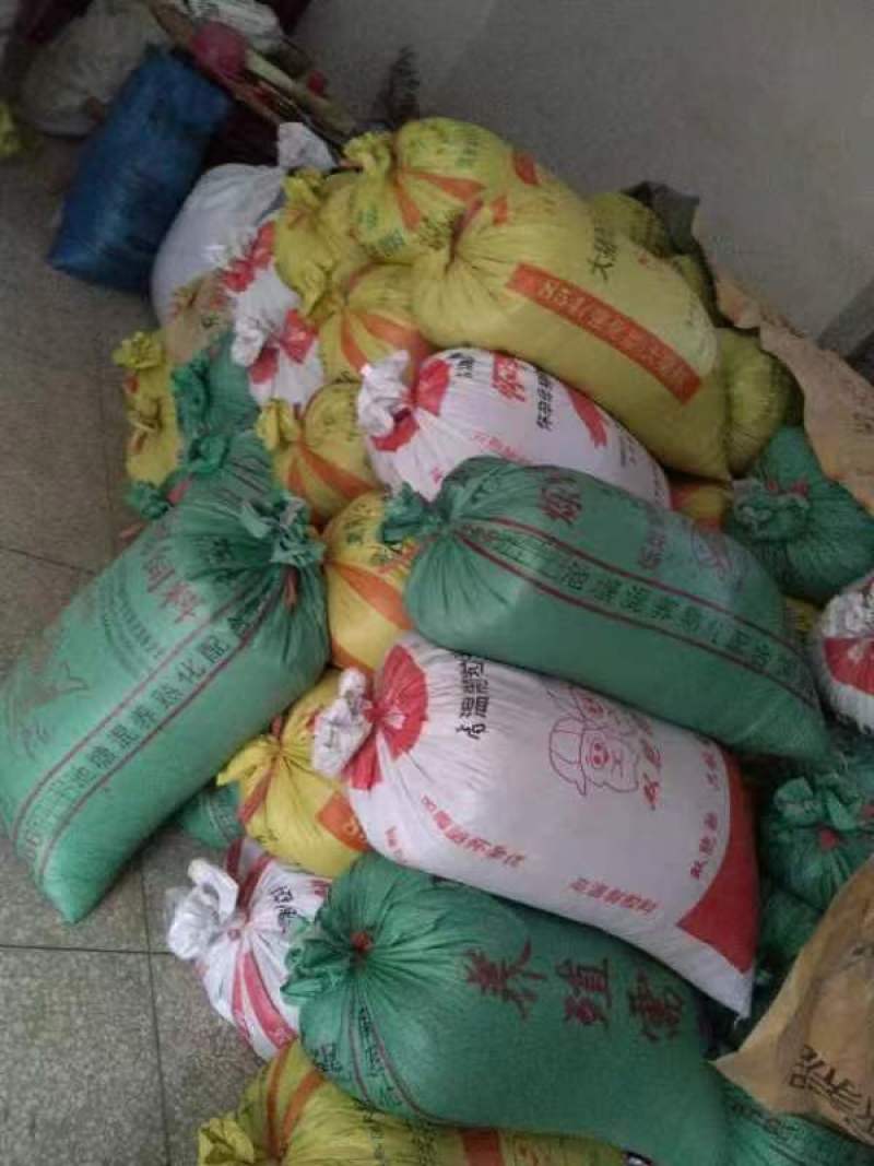 江西正宗中花吴茱萸无硫色泽青亮无杂质吴茱萸籽