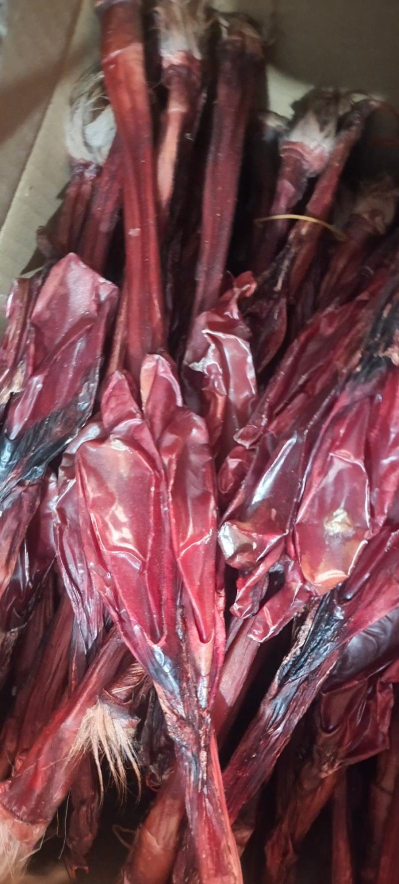 狗肾干货狗肾常年经营狗肾量大从优欢迎选购！