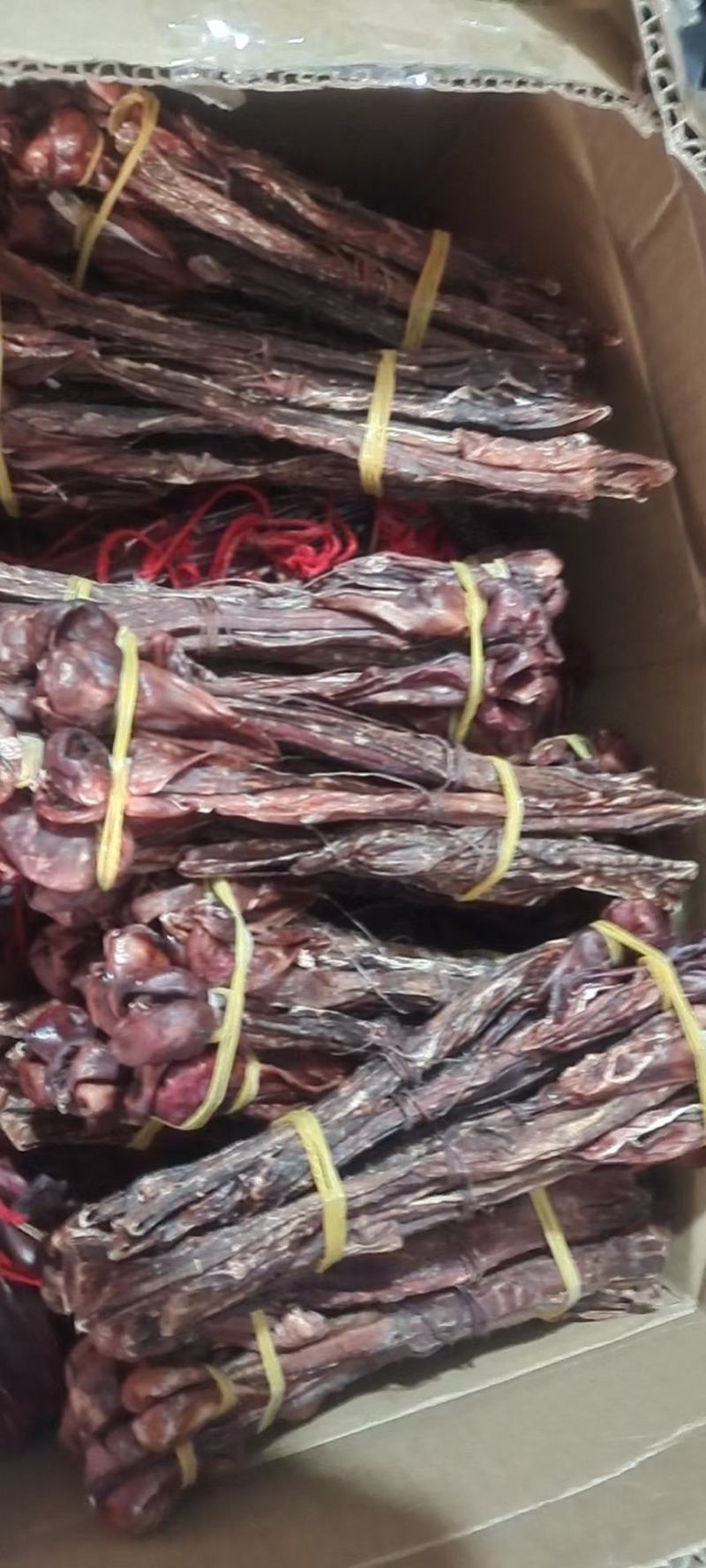 狗肾干货狗肾常年经营狗肾量大从优欢迎选购！
