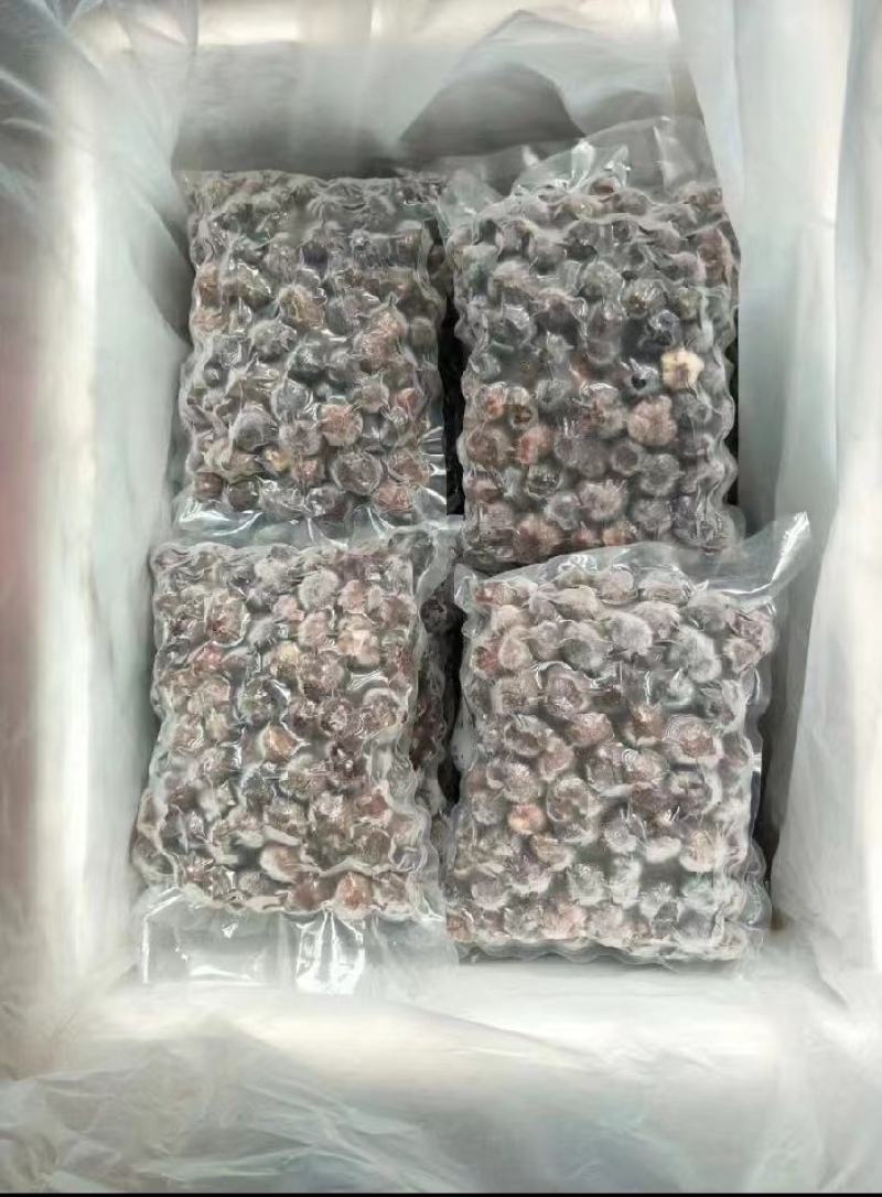 鲜松露速冻松露源头一手货源保质保量欢迎订购